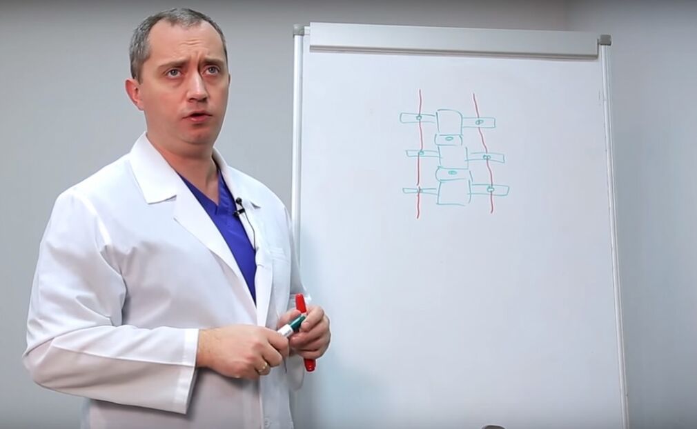 Doctorul arată structura coloanei vertebrale